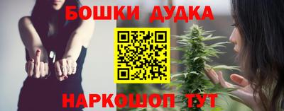 амф Гусев