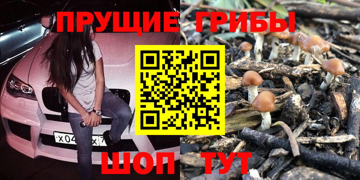 Галлюциногенные грибы прущие грибы Моздок