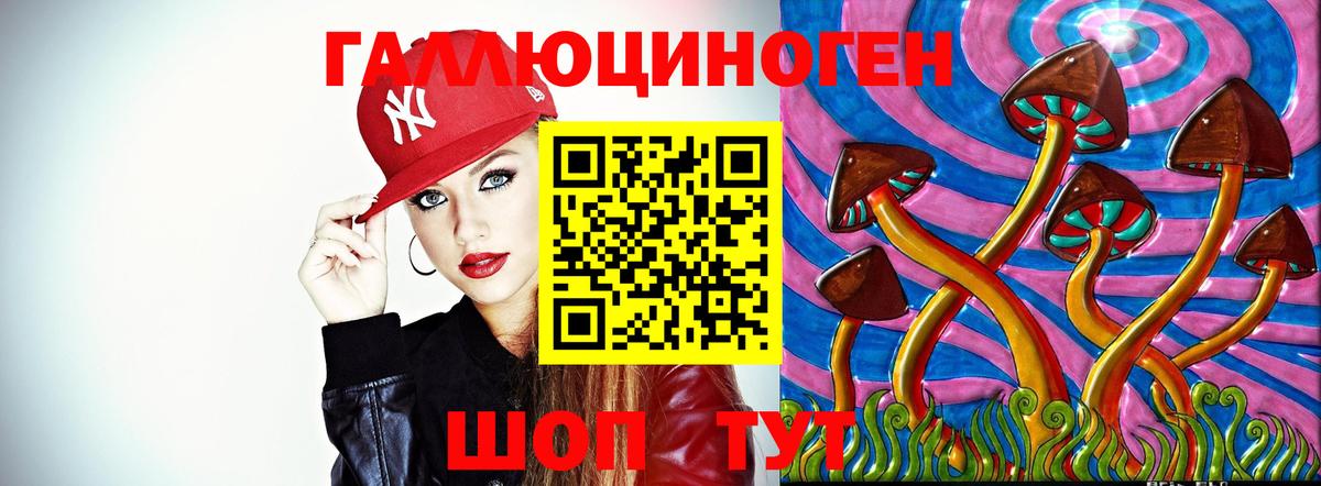 Галлюциногенные грибы Psilocybe  Вход с VPN  Моздок  Галлюциногенные грибы мицелий 